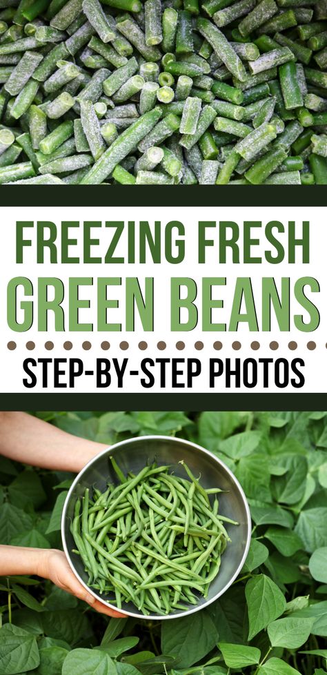 Freezing Vegetables, Canning Food Preservation, Homesteading Ideas, Freeze Greens, Frozen Green Beans, Fresh Green Beans, Frozen Veggies, Freezer Cooking, Garden Recipes