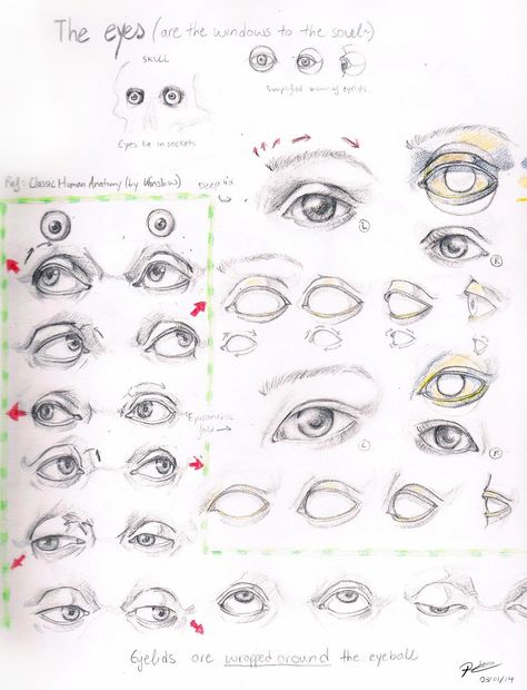 Art References — duckydream: Day two: Eye study Part 1 [Part 2] ... Drawing Eyes Looking Down, Eye Guidelines Drawing, Portrait Guidelines, Eye Study Reference, Eye Sketches, Eye Study, Eye Drawing Tutorials, Drawing Tutorial Face, Eye Sketch