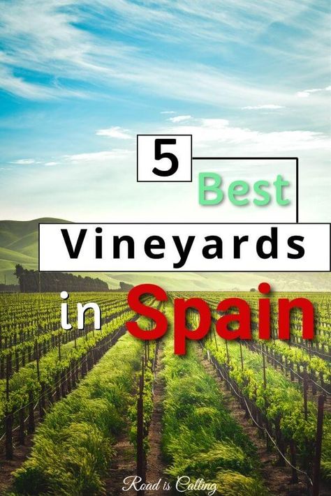 Wine Country Itinerary, Barcelona Wine Tour, Salou Spain, Best Wineries In Calistoga, Spain Wine Regions, Vineyard Tour, Europe City, Madrid Travel, Burgundy France Vineyards