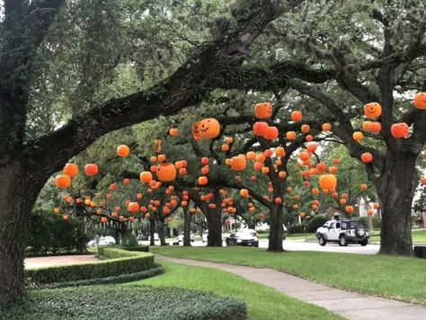 Lanterns In Trees, Hanging Pumpkins, Halloween Yard Displays, Pumpkin Display, Carving Pumpkins, Pumpkin Carvings, Outdoor Trees, Halloween Yard Decorations, Couples Halloween