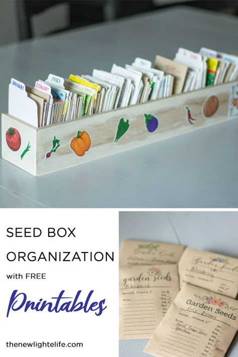 Seed Box Storage, Seed Saving Storage, Garden Hod, Seed Organization, Seed Saving Envelopes, Gardening Printables, Box Organization, Seed Storage, Seed Box