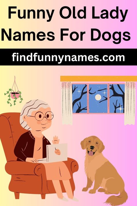 Look no further! We've got a list of the funniest old lady names that will make your dog stand out from the pack. Whether you have a mischievous Pomeranian or a sassy Chihuahua, these names are sure to bring a smile to your face and make your pup the talk of the town. #FunnyOldLadyNames #DogNames #UniqueDogNames #OldLadyDogNames #FunnyPets #DogLovers. Sassy Chihuahua, Old Lady Names, Lady Dog, Girl Dog Names, Old Lady Humor, Vintage Names, Funny Names, Old Lady, Women Names