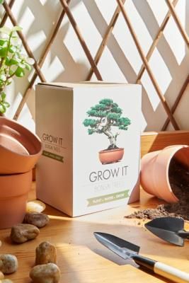 Bonsai Kit, Botanical Collage, Bonsai Seeds, Grow Kit, Plant Markers, Plant Vase, Bonsai Plants, Bonsai Garden, Floral Garland