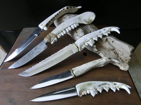 Jaws - Alligator, Coyote and Deer  http://www.etsy.com/shop/CameronCustomCutlery Arrowhead Display, Green Armor, Emo Emo, Pretty Knives, Bone Crafts, Vulture Culture, Jaw Bone, Animal Bones, Cool Knives