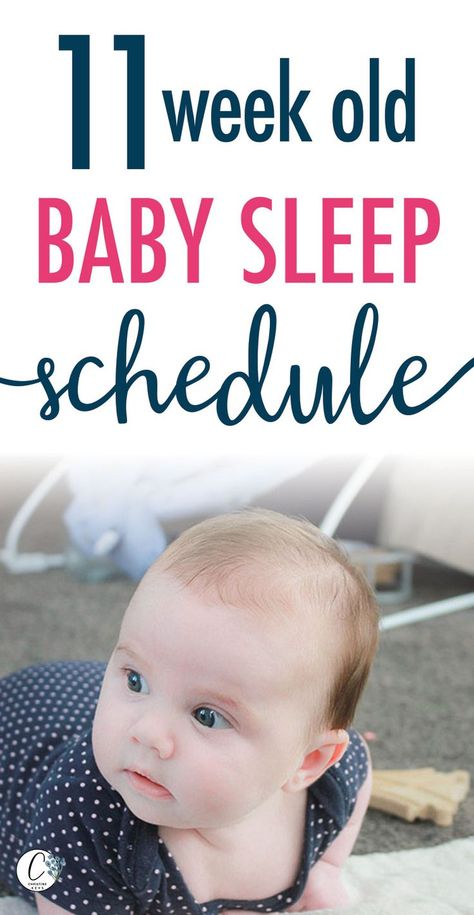 11 week old Baby Sleep Schedule | Get your baby sleeping through the night with this great sample baby sleep schedule. Find out how to get your baby to sleep and what to expect when they're eleven weeks old. #momtips #babysleep Newborn Sleep Schedule, Newborn Schedule, Week Schedule, 3 Month Old Baby, Baby Schedule, Newborn Baby Tips, Baby Sleep Schedule, Baby Nap, Help Baby Sleep