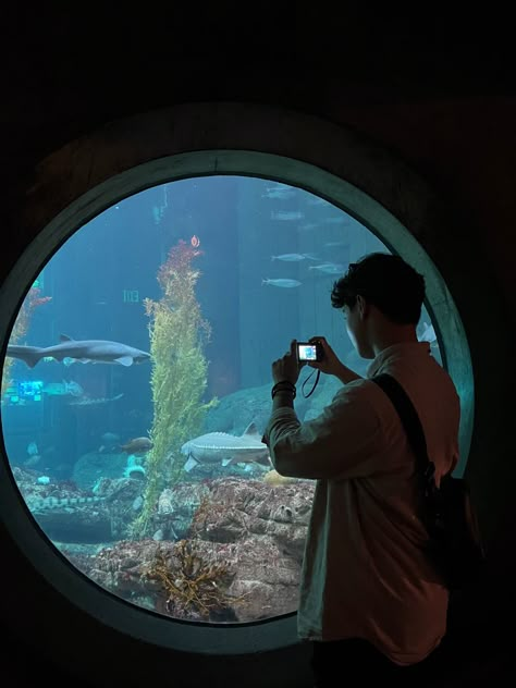 aquarium photoshoot (men) : silhouette photoshoot : shot on g7x : monterey bay aquarium Aquarium Photoshoot, Silhouette Photoshoot, Face Makeup Steps, Aquarium Photos, Aquarium Pictures, Bay Photo, Monterey Bay Aquarium, Monterey California, Monterey Bay