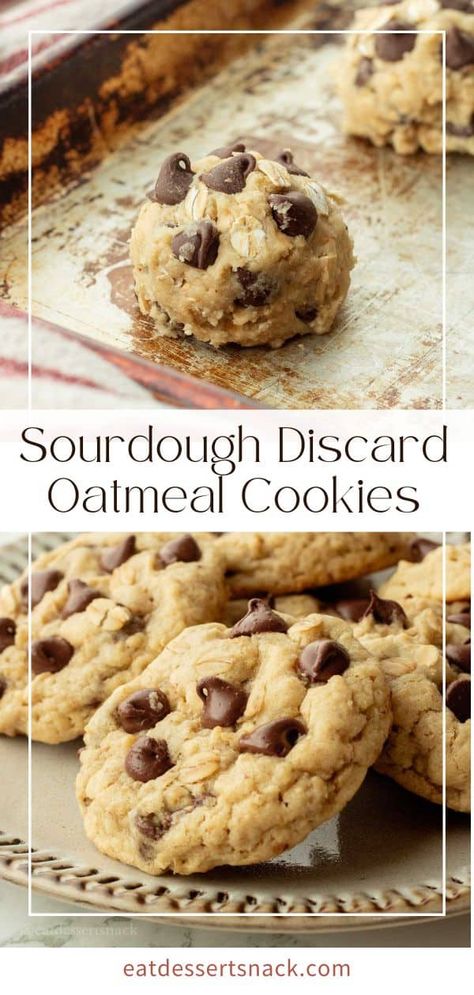 Sourdough Oatmeal Cookies are chewy and perfect. This sourdough discard cookie recipe is made for the dough to be baked right away, and they're packed with chocolate chips. Sourdough Oatmeal Cookies Recipe, Chocolate Chip Cookies Sourdough Discard, Sourdough Discard Choc Chip Cookies, Sourdough Coconut Cookies, Discard Oatmeal Cookies, Sourdough Recipes Cookies, Oatmeal Sourdough Cookies, Sourdough Discard Cookie Bars, Sourdough Oatmeal Chocolate Chip Cookies