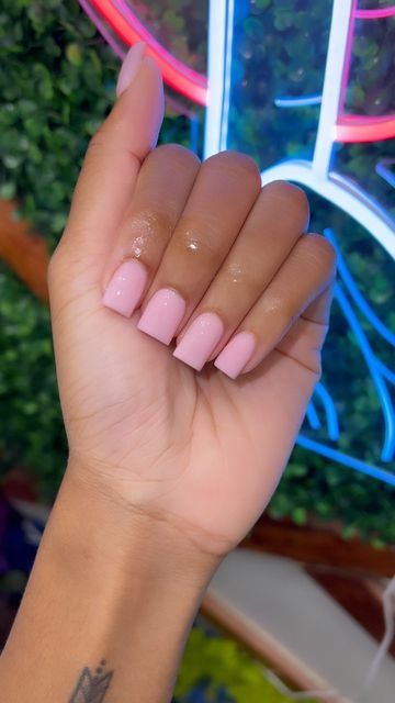 Pink Powder Nails, Pink Clear Nails, Licensed Cosmetologist, Cute Nail Colors, Super Cute Nails, Work Nails, Short Acrylic Nails Designs, Diamond Nails, Pink Acrylic Nails