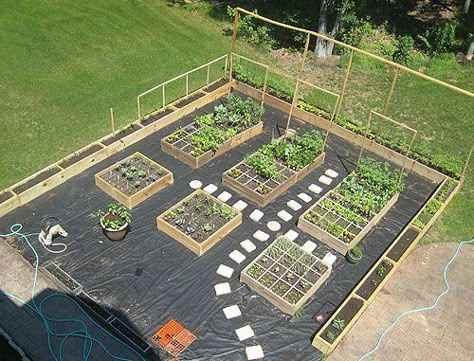 Vegetable Garden Boxes, Box Layout, Farming Tips, Vegetable Garden Beds, Garden Bed Layout, Raised Vegetable Gardens, Garden Layout Vegetable, Small Vegetable Gardens, Vegetable Garden Planning