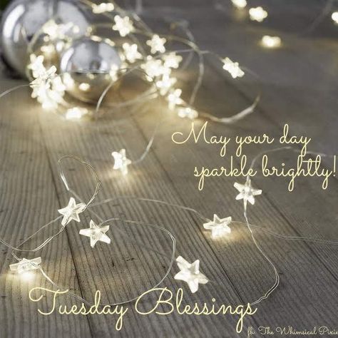 Good Morning December, December Greetings, Hump Day Quotes, Happy Tuesday Morning, Fairy Lights Christmas, Tuesday Greetings, Tuesday Quotes Good Morning, Lights Christmas Tree, Good Morning Happy Saturday