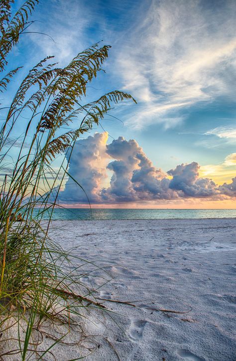 Sunrise or sunsets... It's beautiful on the beach and the bayside of our 'Tween Waters Inn on Captiva Island in Southwest Florida. Join us anytime... http://Tween-Waters.com Idea Paint, Sea Oats, Sand And Sea, Landscape Designs, I Love The Beach, Photography Beach, Sun Sets, Alam Yang Indah, Beach Scenes