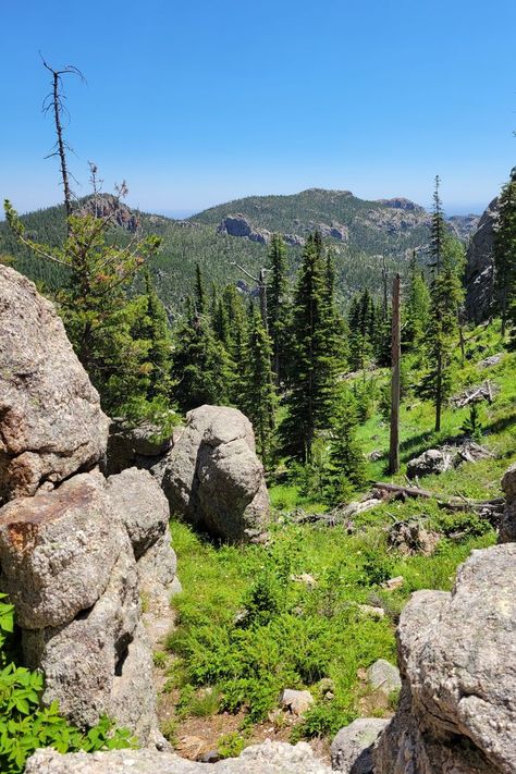 Custer State Park, Black Hills, Pretty Wallpapers Backgrounds, Mountain Views, National Forest, South Dakota, Mountain View, State Park, Pretty Wallpapers