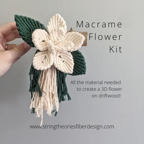 10 Card roundup of some of my original 3D macrame patterns! These are all beginner friendly and include beginner's knot guides if you've never picked up some rope before. 🥰 There are also some sneaky affiliate discount codes for supplies inside the instructions, and links on what to try next. Have you tried any of these?? Leave a comment telling me what you enjoyed most about these patterns and I'll send ya a little discount code for your next one! #learntomacrame #diymacrame #macramepat... Macrame Leaves Tutorial Flower Patterns, Macrame Flower Chain Tutorial, Lotus Macrame Tutorial, Macrame Pointsetta Flower Turtiol, Woven Flower Macrame Wall Art, Knots Guide, Crochet Wall Hangings, Macrame Diy, Macrame Patterns