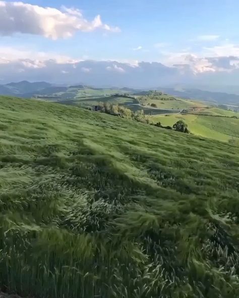 Heavenly Places, Our Planet Earth, Love Is In The Air, Pretty Places, Bologna, Planet Earth, Aerial View, Amazing Nature, Beautiful Destinations