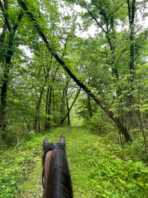 Trail Rides Aesthetic, Trail Ride Aesthetic, Parenthood Show, Heartland Aesthetic, Horseback Riding Aesthetic, Trail Riding Horses, Luxury Equestrian, Horse Trails, Fox Hunter