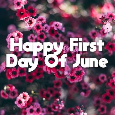 1st Of June Quote, Goodbye May Hello June, Happy First Day Of June, Goodbye May, June Pictures, June Quotes, Welcome June, June Gemini, My Silence