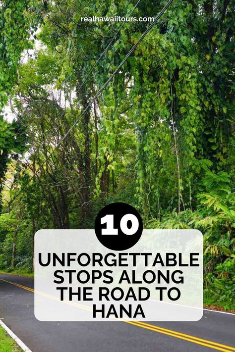 Explore 10 unforgettable stops along the Road to Hana, featuring breathtaking waterfalls, stunning beaches, and scenic lookouts. Visit our site and plan your ultimate Maui adventure today! Road To Hana Maui, Maui Itinerary, Hana Maui, Road To Hana, On The Road, Maui, The Road, Road, How To Plan