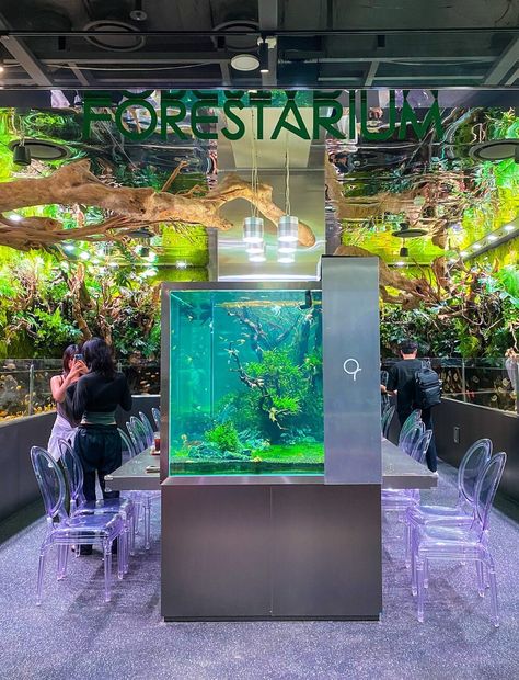 Aquagarden Cafe And Aquarium In Seoul | Lost In A Surreal Underwater World » Travel-Stained Aquarium Cafe, Surreal Underwater, Cafe In Seoul, South Korea Travel, China Hong Kong, The Mundane, Korea Travel, Underwater World, British Columbia