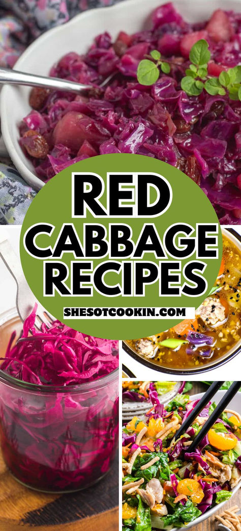 Red cabbage recipes photo collage with text overlay. Red Cabbage Meals, Recipes With Red Cabbage, Red Cabbage Recipe, Fried Cabbage Recipes, Red Cabbage Recipes, Braised Cabbage, Cabbage Recipe, Fried Cabbage, Thanksgiving Recipes Side Dishes