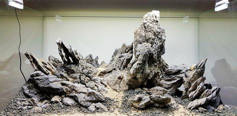 The Elements of Aquascaping: Rocks, Driftwood & Substrates - Aquascaping Love Nature Aquascape, Iwagumi Aquascape, Hardscape Aquarium, Nano Aquascape, Aquascaping Rocks, Unique Fish Tanks, Discus Tank, Backyard Fishing Pond, Gecko Tank