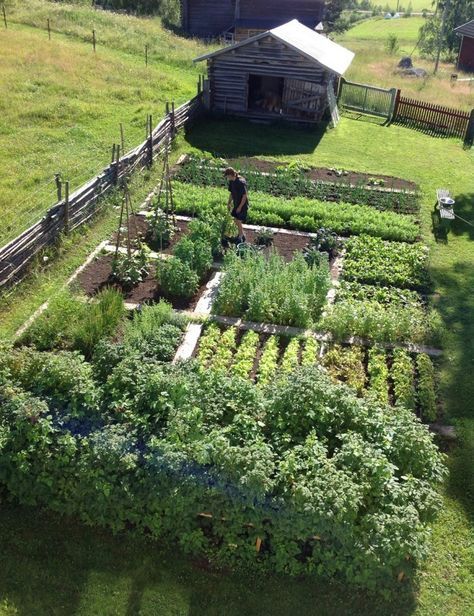 Farm Garden Layout, Vegetable Garden Planner, Homestead Farm, Backyard Vegetable Gardens, Farm Garden, Garden Planner, The Secret Garden, Vegetable Garden Design, A Barn