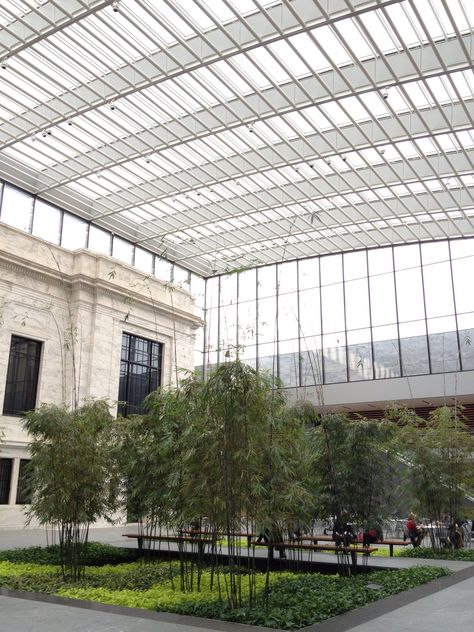 Cleveland Museum of Art, atrium.  Photo by Allen V. Harris. Cleveland Rocks, Biophilic Design, Cleveland Museum Of Art, Lake Erie, Banquet Hall, Best Location, Summer 2023, Places Around The World, Hall Of Fame