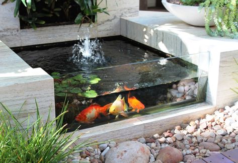 10 Ideas for Minimalist Fish Pond Design - Matchness.com Tanaman Air, Koi Pond Design, Fish Pool, Indoor Courtyard, Fish Pond Gardens, Kolam Koi, Small Front Gardens, Taman Air, Garden Pond Design