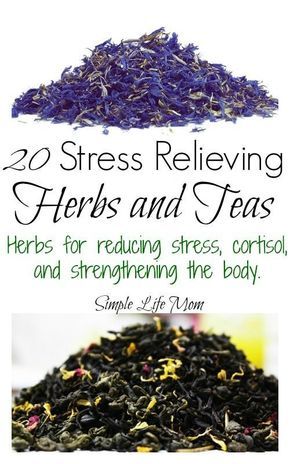 Tea Blends Recipes, Homemade Tea, Herbal Teas Recipes, Herbal Tea Blends, Healthy Teas, Herbal Healing, Herb Tea, Herbs For Health, Healing Herbs