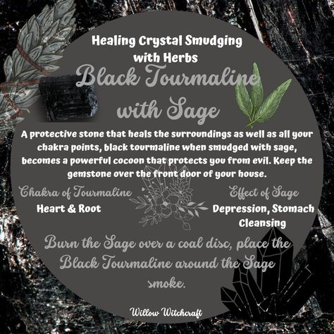 Willow Witchcraft Black Sage Smudge Benefits, Black Sage Benefits, Sage Color Meaning, Witchy Corner, Crystal Pairings, Witch Stones, Protection Rituals, Sage Benefits, Crystal Tips