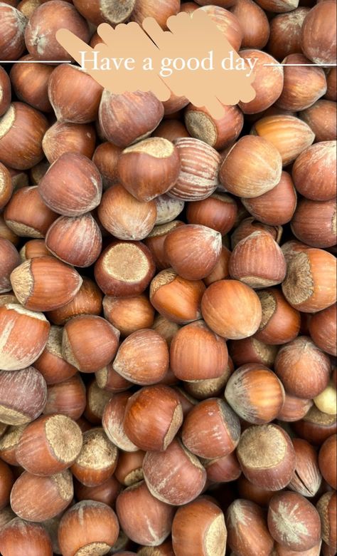 #istanbul #turkey #hazelnut #aesthetic #brown Hazelnut Aesthetic, Season Wallpapers, Aesthetic Brown, Dnd Stuff, Bean Seeds, Wallpaper Pink, Have A Good Day, Istanbul Turkey, Fresh Produce