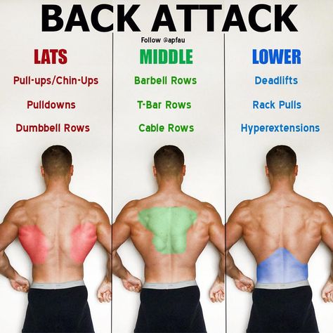 Need help with setting up your diet and routine for your goals? Check out my ebook by clicking the link in my bio 💪🏼. - Back is a huge muscle group. To simplify things, you can essentially separate it into three main areas consisting of your lats, middle back, and lower back. These exercises are grouped with the area in which they are primarily intended to hit. However, most of these exercises will also hit other areas of your back as well. For example, dumbbell rows hit your lats but they ... Types Of Muscles, Gain Muscle Mass, Planet Fitness, Easy Stretches, Weight Training Workouts, Aerobics Workout, Popular Workouts, Planet Fitness Workout, Body Fitness