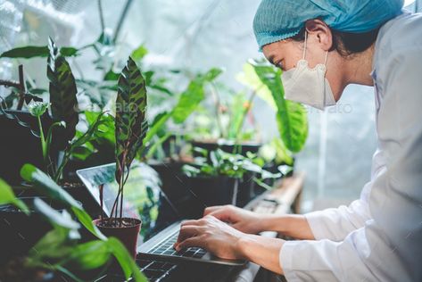 Agriculture Students, Agriculture Science, Biology Scientist, Plant Biology, Agriculture Pictures, Biology Plants, Agriculture Photos, Job Pictures, Environmental Studies