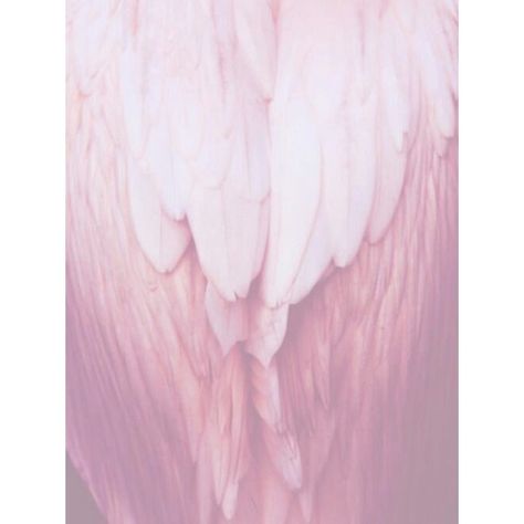 0 Pink Angel Wings Aesthetic, Angel Grunge Aesthetic, Yamikawaii Aesthetic, Celestial Warlock, Angel Wings Aesthetic, Pink Angel Aesthetic, Pink Angel Wings, Pink Wings, Oops I Did It Again