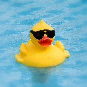 Writer's Block Wonderland: Rubber Duckies Rubber Ducky Aesthetic, Silly Widgets, Rubber Duck Aesthetic, Rubber Duck Race, Duck Race, Ducky Duck, Yellow Rubber Duck, Duck Tattoos, Jeep Gifts