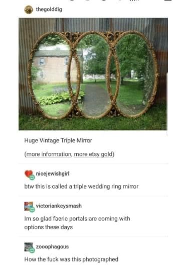 Every Good House has a Fairy Portal Fairy Portal, Mirror Portal, Fairy Portal Mirror, Portal Mirror, Good House, Witchy Vibes, Cute Texts, Fairy House, Portal