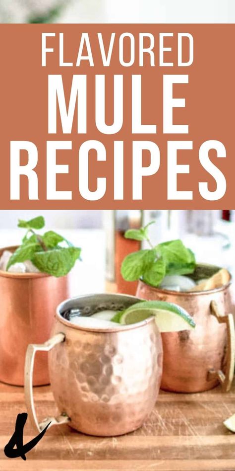 Vodka Mule Recipe, Easy Moscow Mule Recipe, Irish Mule Recipe, Moscow Mule Variations, Mule Variations, Amaretto Drinks Recipes, Moscow Mule Recipes, Moscow Mule Drink Recipes, Kid Drinks Recipes