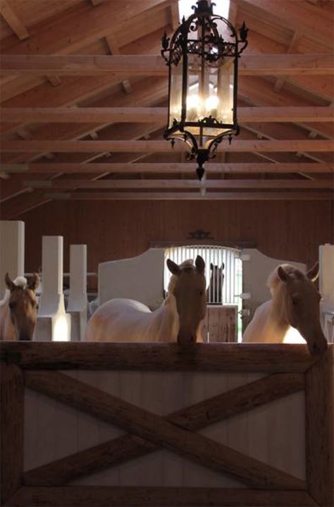 Luxury Horse Barns, Equestrian Stables, Luxury Horse, Barn House Kits, Stable Style, Tack Rooms, Barn Apartment, Dream Stables, Barn Kits