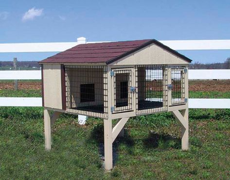 Backyard Rabbits, Double Rabbit Hutch, Chicken Coop Shed, Hutch Plans, Rabbit Hutch Plans, Diy Rabbit Hutch, Amish Sheds, Rabbit Stuff, Outdoor Rabbit Hutch