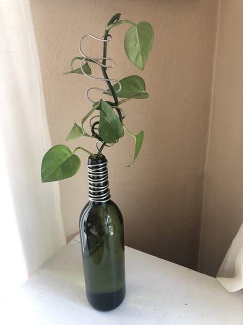 Tanaman Air, Plant Corner, Plant Care Houseplant, Inside Plants, Trellis Plants, Tic Toc, Plant Decor Indoor, Green Bottle, House Plants Decor