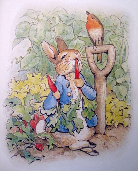 Peter Rabbit Illustration, Eh Shepard, Beatrix Potter Illustrations, Beatrice Potter, Peter Rabbit And Friends, 동화 삽화, Benjamin Bunny, Rabbit Illustration, Marjolein Bastin