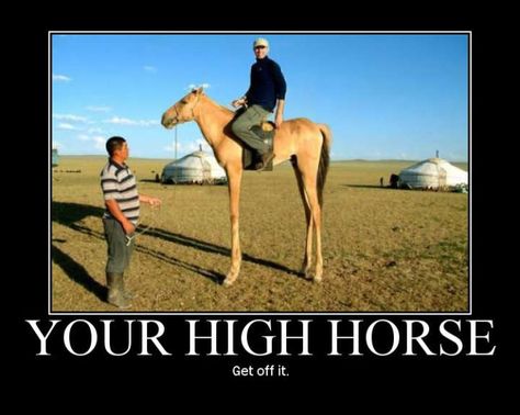 Your High Horse - Get Off It. If you liked this joke, check out more horse jokes at our site: http://humoropedia.com/horse/ #horsejokes #humor #funnyjokes #funnypictures Horse Puns, Horse Meme, Horse Jokes, Teen Witch, High Horse, Funny Horses, Random Images, Geek Girls, Funny Puns