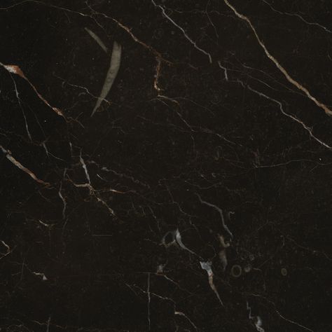 New St. Laurent (Marble) St Laurent Marble, St Laurent, Texture Inspiration, Material Textures, Marble Texture, Photo Album, Plant Leaves, Marble, Texture