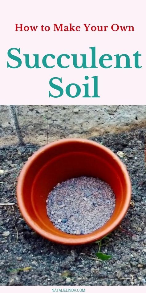 How To Make Succulent Soil, Succulent Planting Ideas, Diy Succulent Soil, Succulent Display Ideas Indoor, Cactus Soil Mix Diy, Succulent Container Ideas, Growing Succulents From Seed, Best Soil For Succulents, Repotting Succulents