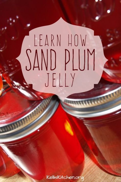 Sand Hill Plum Jelly Recipe, Sand Plum Recipes, Sand Plum Jelly Recipe, Canning Goals, Wild Plum Jelly Recipe, Chickasaw Plum, Homestead Canning, Freezing Recipes, Jelly Maker