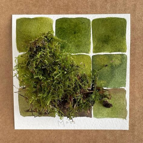 Watercolor Moss, Moss Drawing, Moss Logo, The Emerald City, Color Mood, Evergreen State, Paint Cards, Emerald City, Stage Set