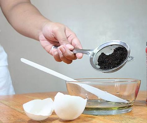 A lot of people usually spend money buying facial masks from stores while homemade masks can be just as effective as those ones and even help you to save money. One of these easy-to-make masks are coffee and egg white exfoliating masks - Beauty Check more at https://www.girlstalkinsmack.com/how-to-make-coffee-and-egg-white-exfoliating-mask/ Egg White Mask, Whitening Face Mask, Facial Recipe, Natural Mouthwash, White Skin Tone, Homemade Mask, Uses For Coffee Grounds, Make Coffee, Green Tea Benefits