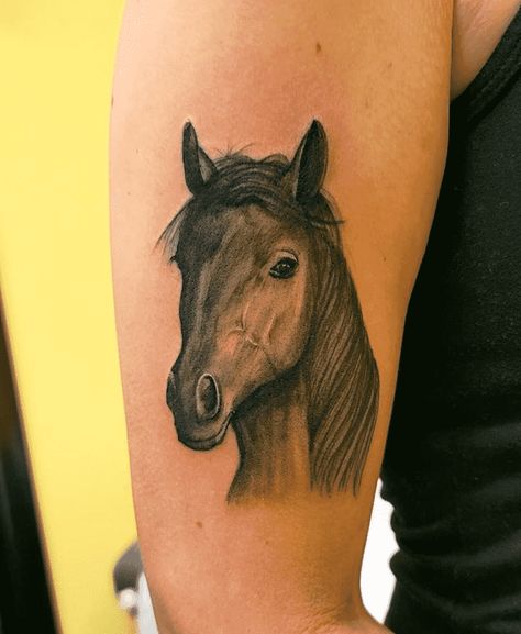 Horse Tattoo Design Images (Horse Ink Design Ideas) Tattoo Ideas Horse, Horse Tattoo Ideas, Horse Tattoo Design, Horse Tattoo, Tattoo Design Ideas, Cartoon Tattoos, Ink Design, Birds Tattoo, Tattoo On