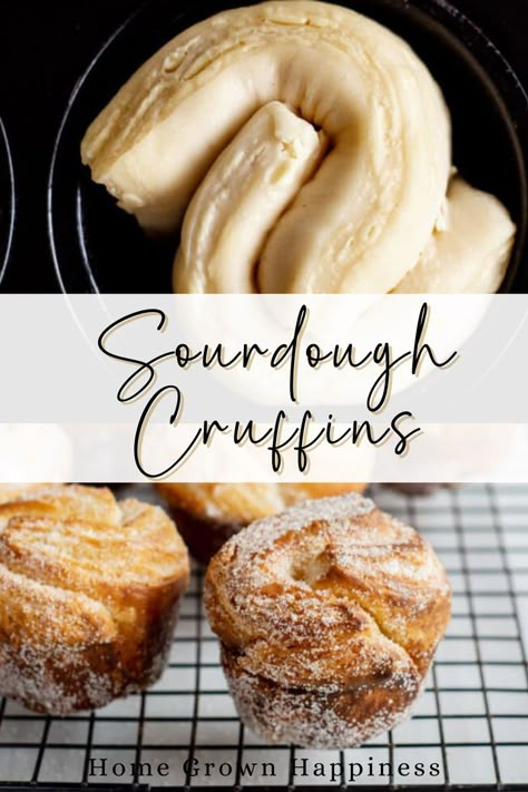 Sourdough Cruffins, Sourdough Croissants, Laminated Dough, Cruffin Recipe, Sourdough Muffins, Recipe Using Sourdough Starter, Sourdough Starter Discard Recipe, Croissant Recipe, Homemade Sourdough Bread