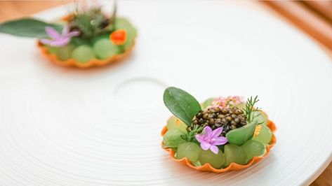 Michelin Appetizer, Hungarian Cuisine, Cultured Butter, Rump Steak, Potato Pancakes, Flower Inspiration, Cocktail Parties, Four Hands, Food Plating