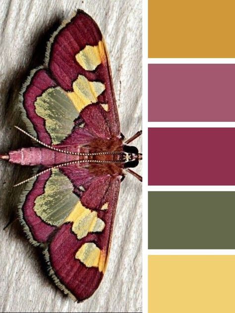 Unique Color Combos, Unique Colour Combinations, Yarn Color Combinations, Colour Pallets, Color Schemes Colour Palettes, Color Palette Ideas, Nature Color Palette, Contrasting Colours, Color Pallete